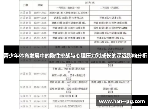 青少年体育发展中的隐性挑战与心理压力对成长的深远影响分析